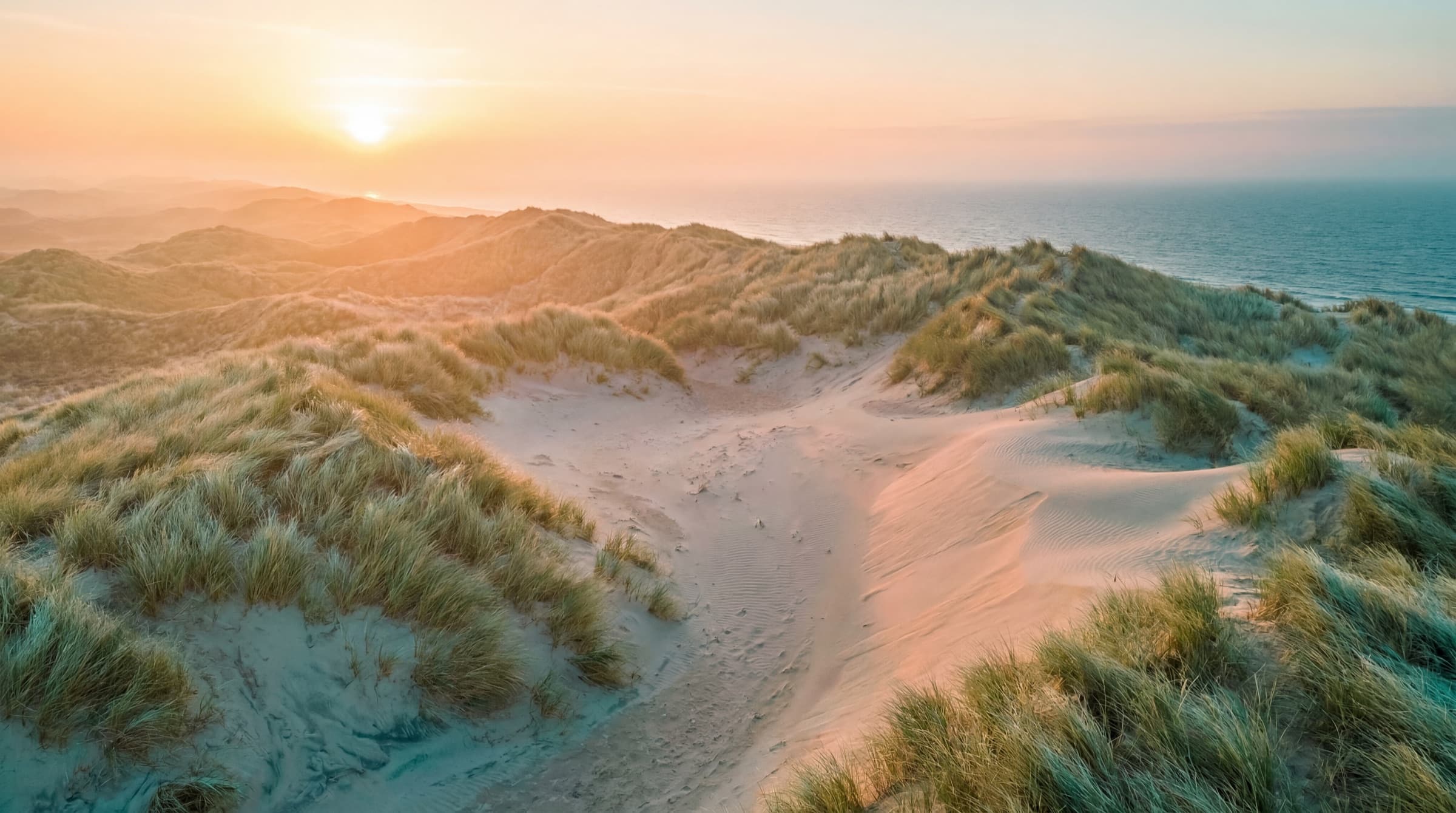 Dünen auf Borkum im Abendlicht