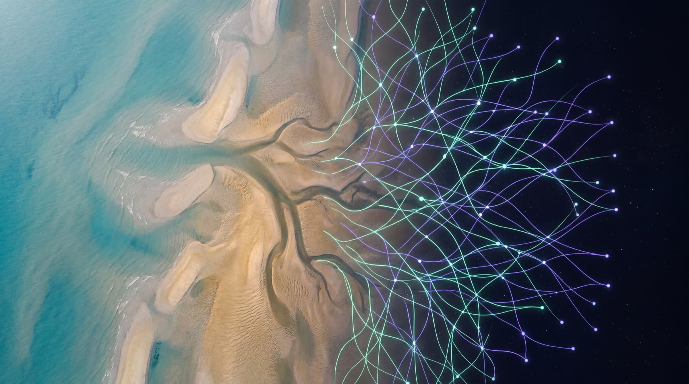 Priele auf Borkum von oben, die sich zu einem Netzwerk verzweigen